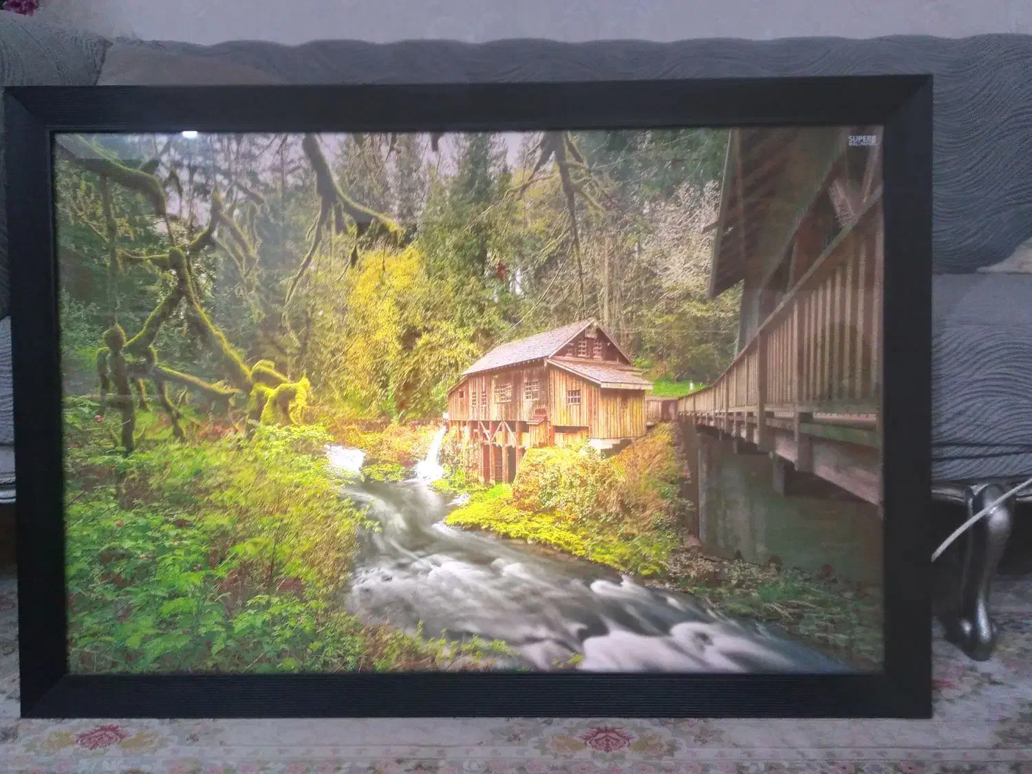 تابلو وچراغ خواب زیبا|تابلو، نقاشی، عکس|ایلام, |دیوار