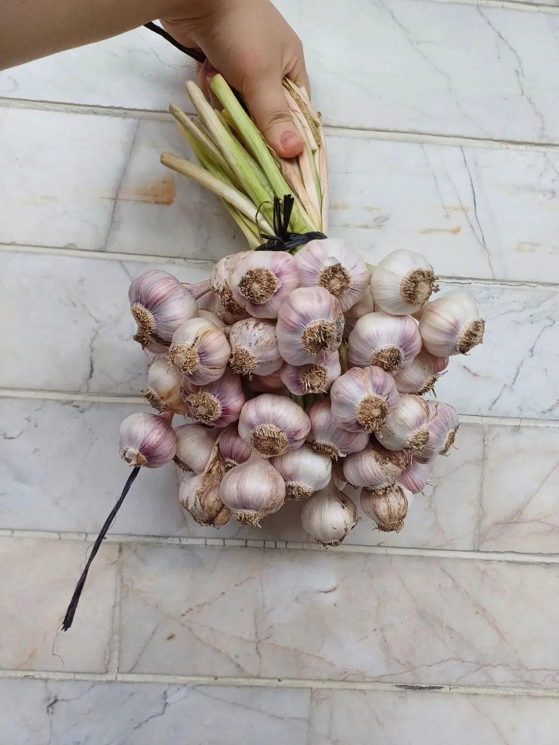 سیر محلی|خوردنی و آشامیدنی|ماسال, |دیوار