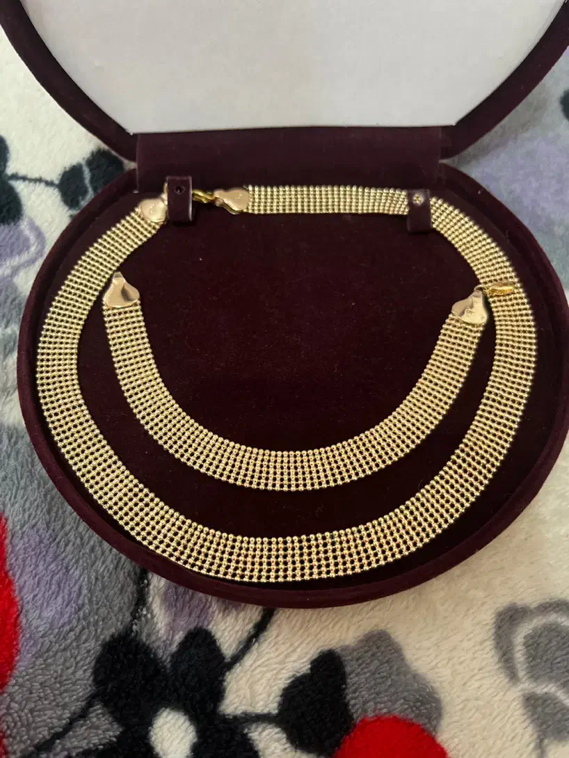 بدلیجات|بدلیجات|گلوگاه, |دیوار