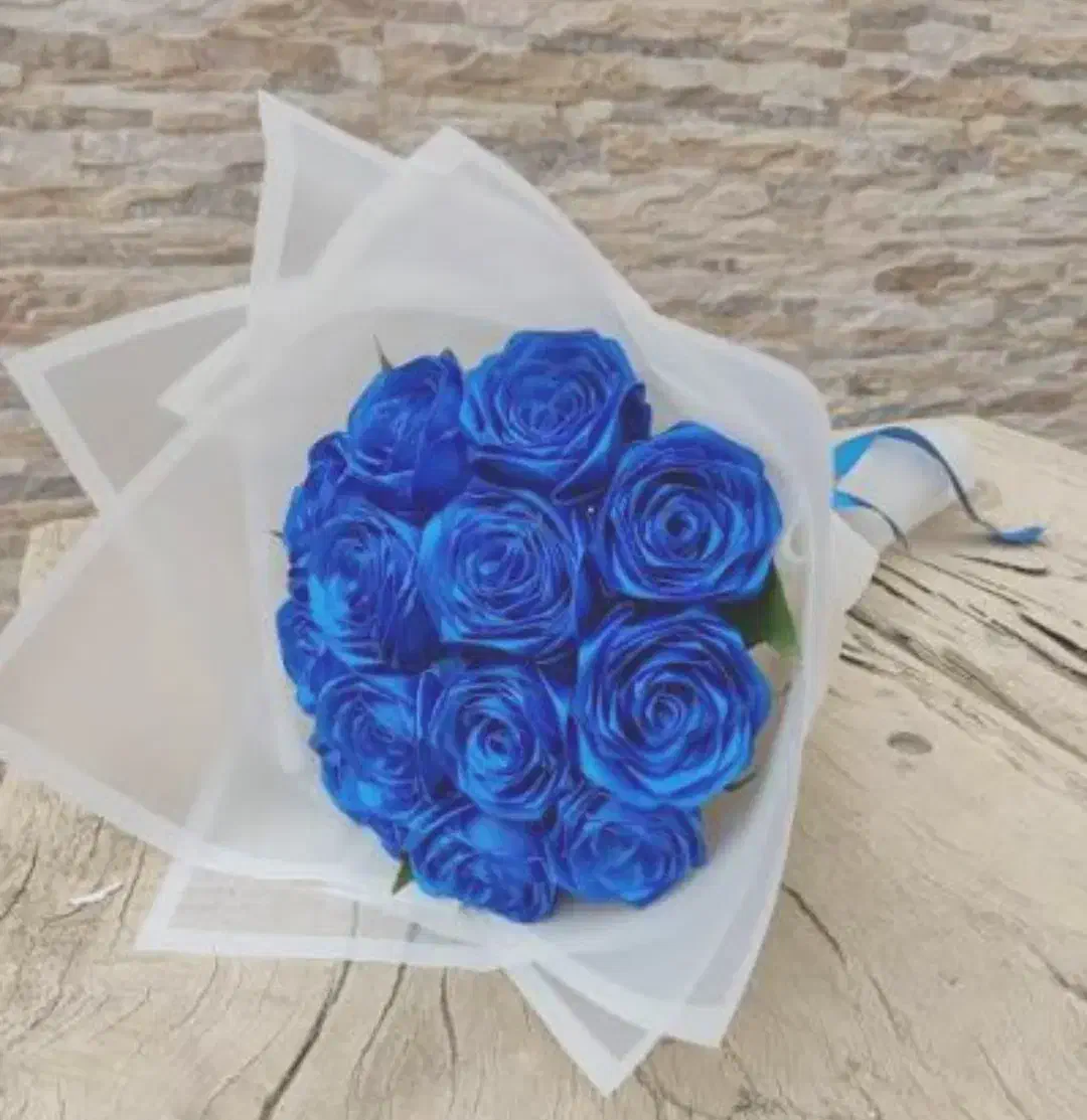 گل ربانی|گل مصنوعی|میناب, |دیوار