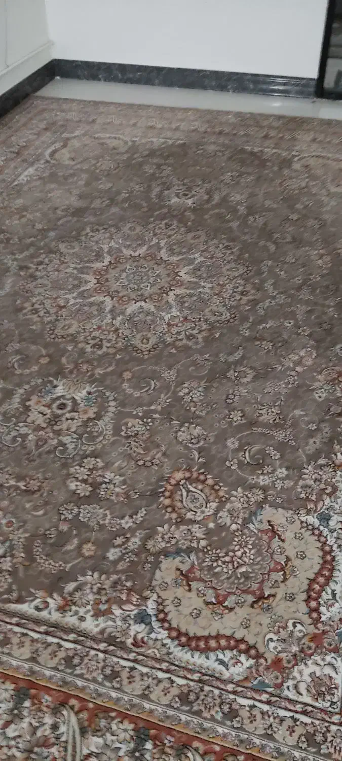 فروشی فرش|فرش|اسفراین, |دیوار