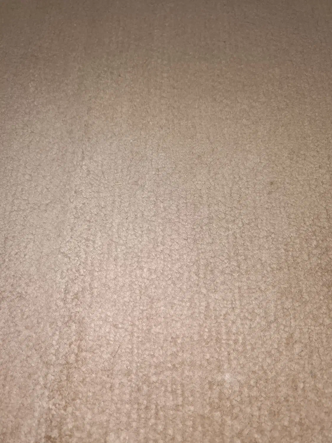 گلیم فرش وپالاز موکت|فرش|بندر کنگان, |دیوار