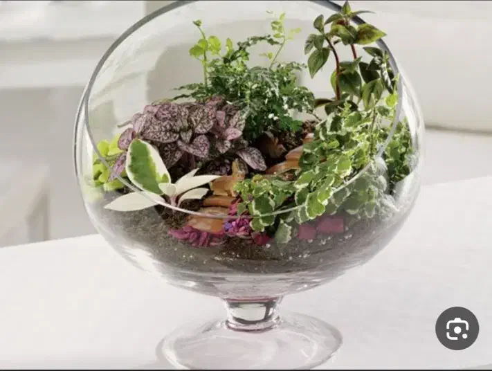 میز تلفن و تنگ تراریوم|میز تلفن|بندر انزلی, امامزاده|دیوار