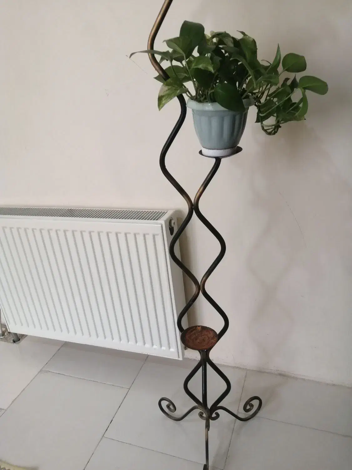 استند گل و گیاه پایه گلدان|گل و گیاه طبیعی|پرند, فاز ۶|دیوار