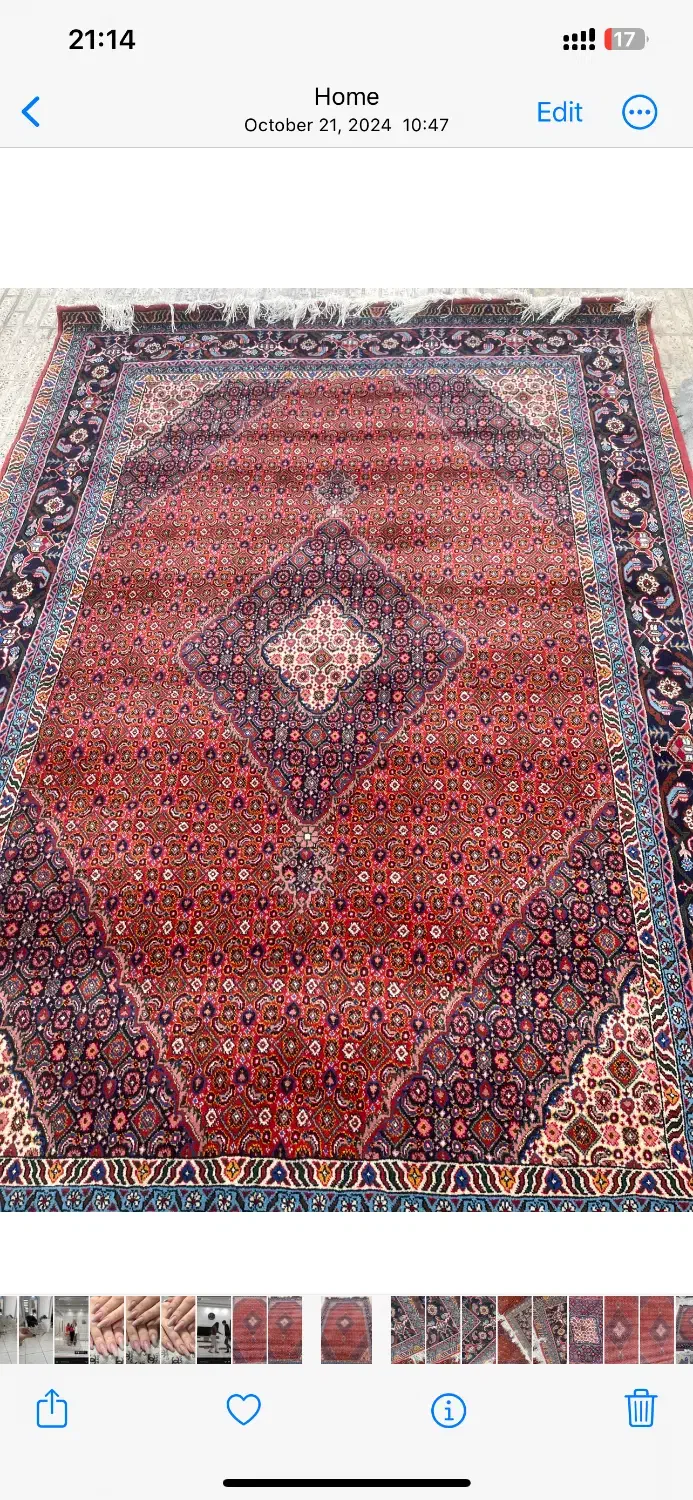 فرش دستبافت کاملا نو|فرش|اردبیل, |دیوار