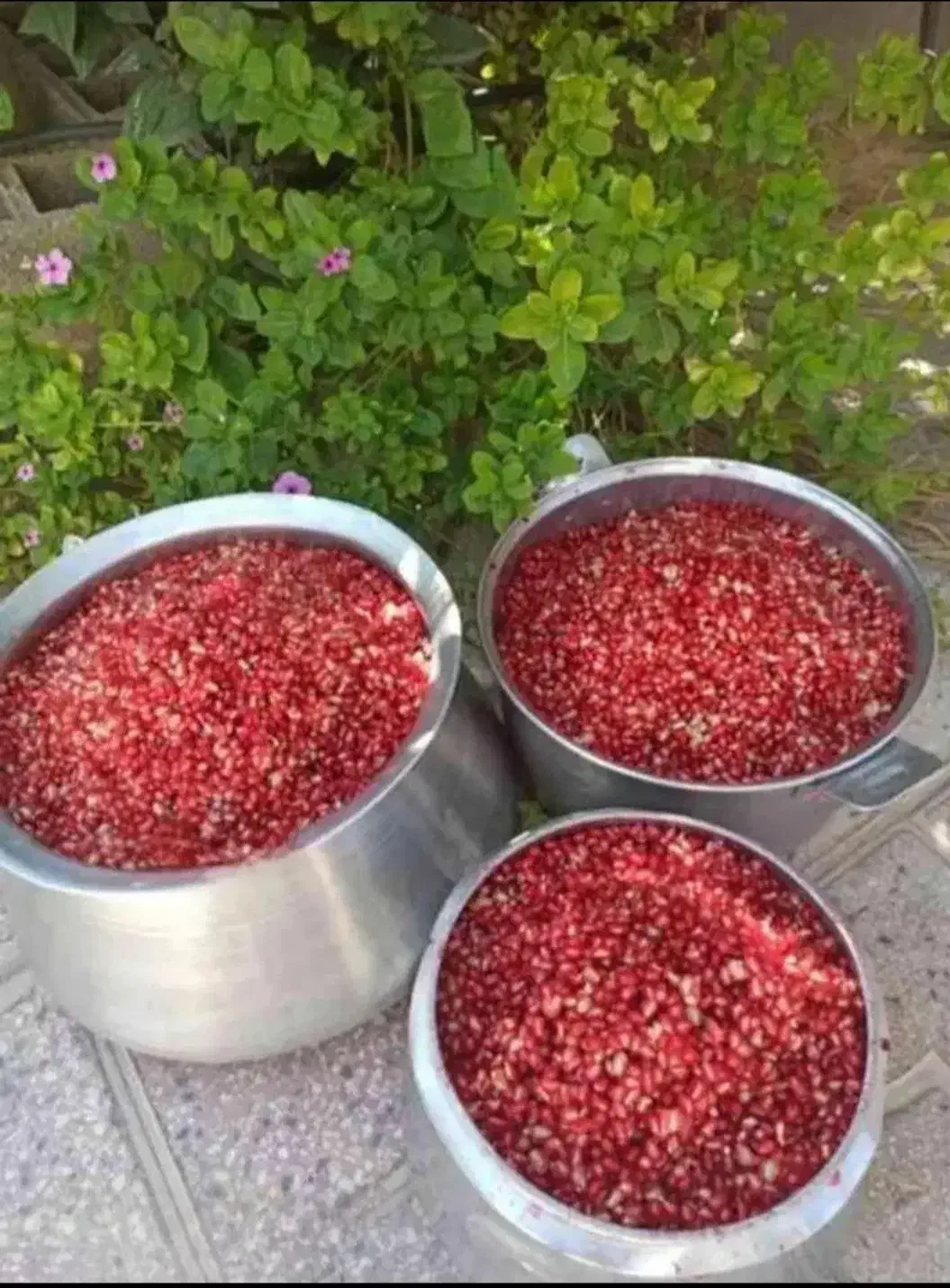 رب انار محلی|خوردنی و آشامیدنی|رباط‌کریم, الارد|دیوار