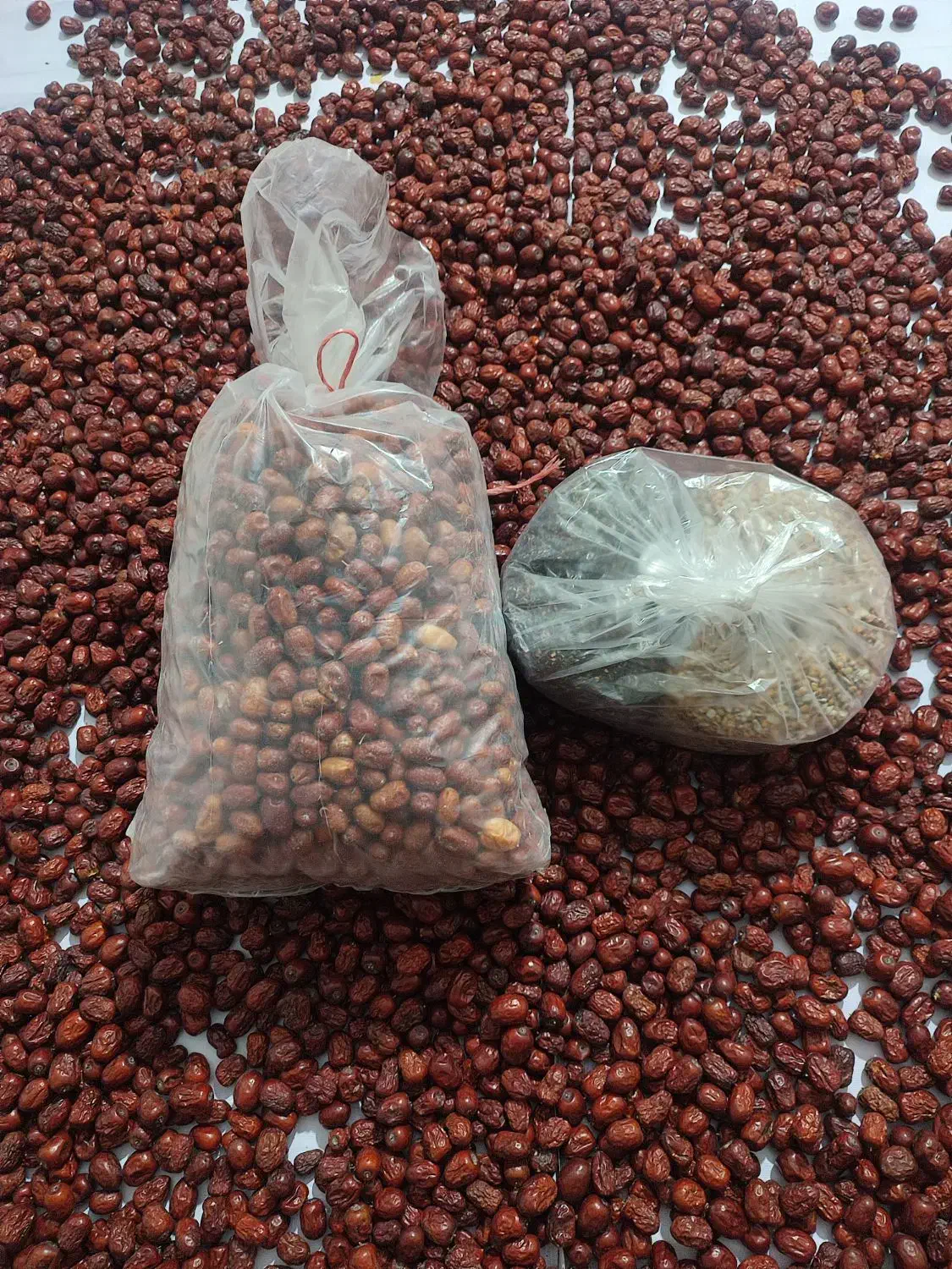 خرده فروشی|خوردنی و آشامیدنی|قره ضیاالدین, |دیوار