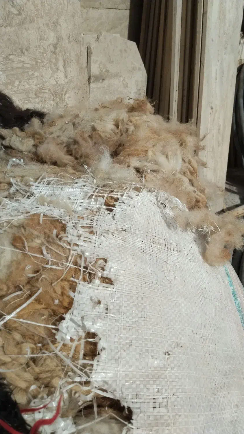 پشم گوسفند|عمده‌فروشی|اردبیل, |دیوار