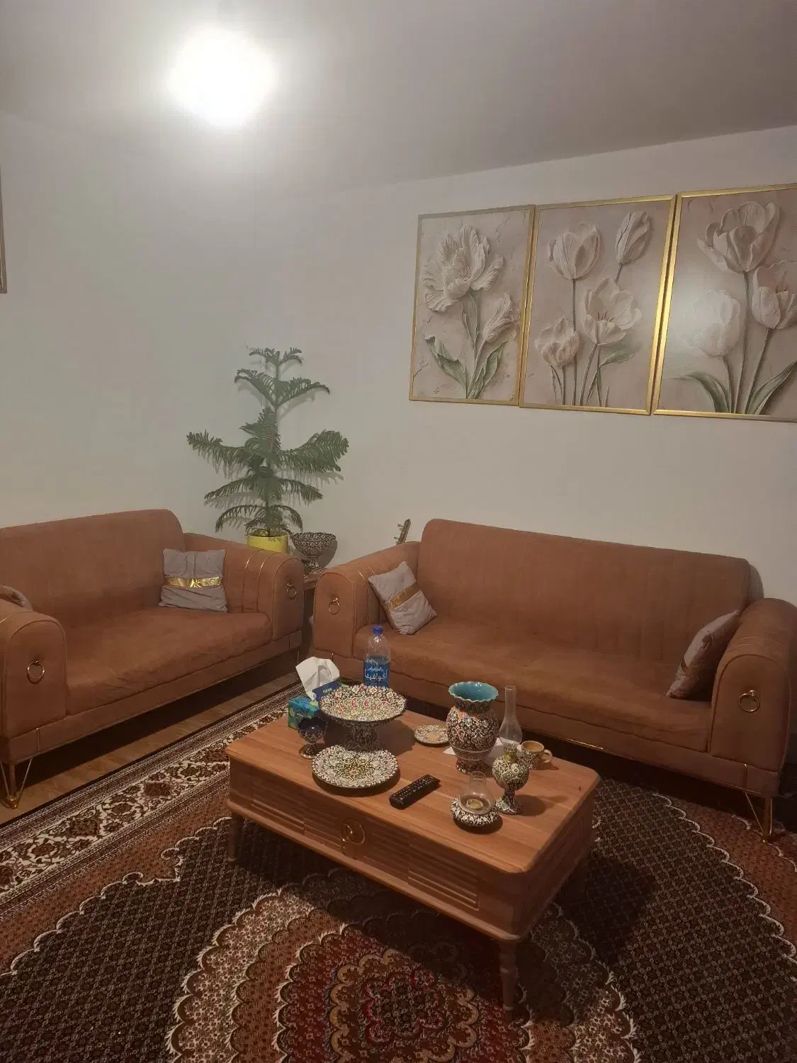 هم خانه آقا