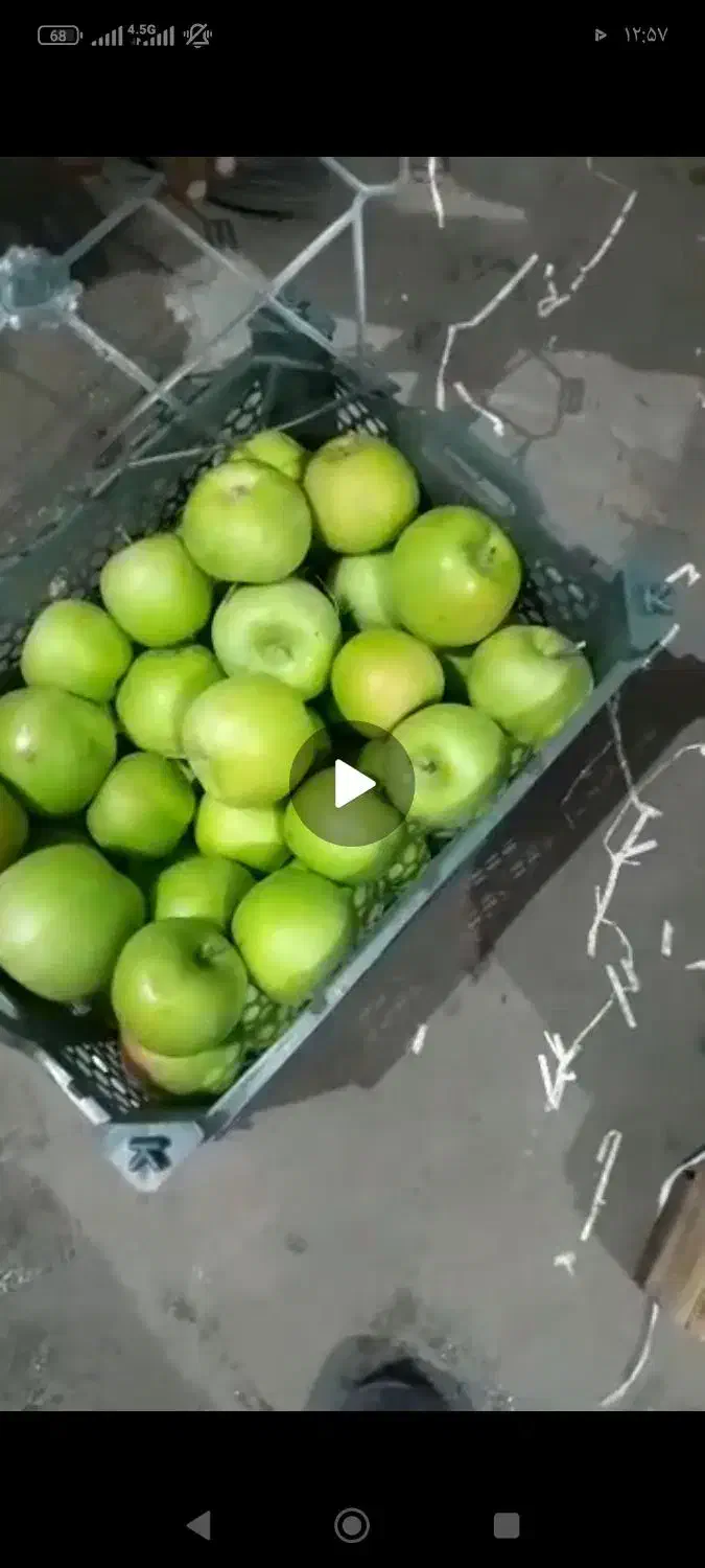 یک تن سیب سبز|خدمات باغبانی و درختکاری|نوشین شهر, |دیوار