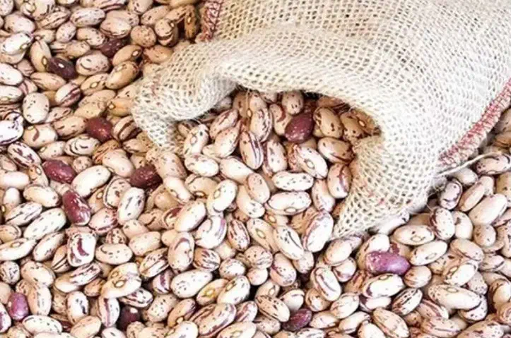 لوبیاچیتی|خوردنی و آشامیدنی|تهران, امام خمینی|دیوار
