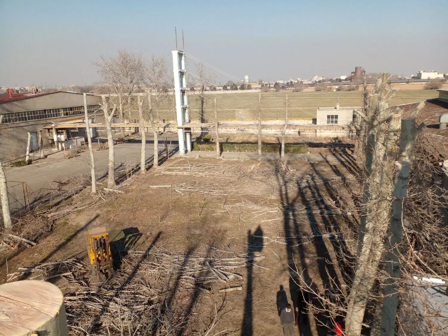 خریدار چوب هرس قطع درخت|خدمات باغبانی و درختکاری|تهران, نعمت‌آباد|دیوار