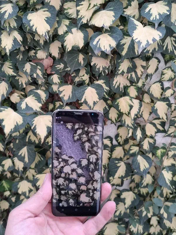 گوشی موبایل سامسونگ مدل Galaxy S8 G950FD دو سیکارت|موبایل|رشت, جانبازان|دیوار