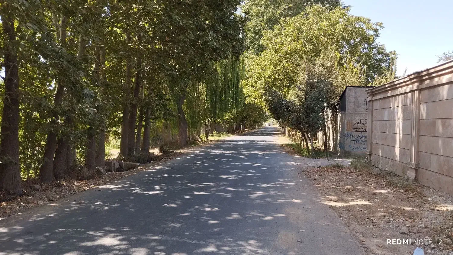 ۲۵۰ متر زمین مناسب ساخت ویلا بهترین لوکیشن سهیلیه|فروش زمین و ملک کلنگی|کرج, دهقان ویلا|دیوار