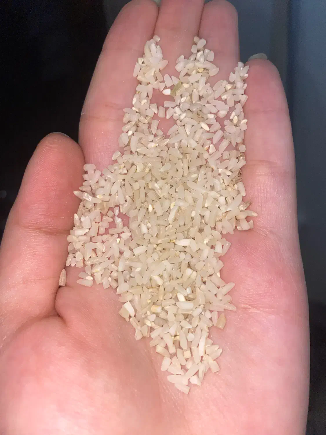 نیم دانه هاشمی|خوردنی و آشامیدنی|رشت, حافظ آباد|دیوار