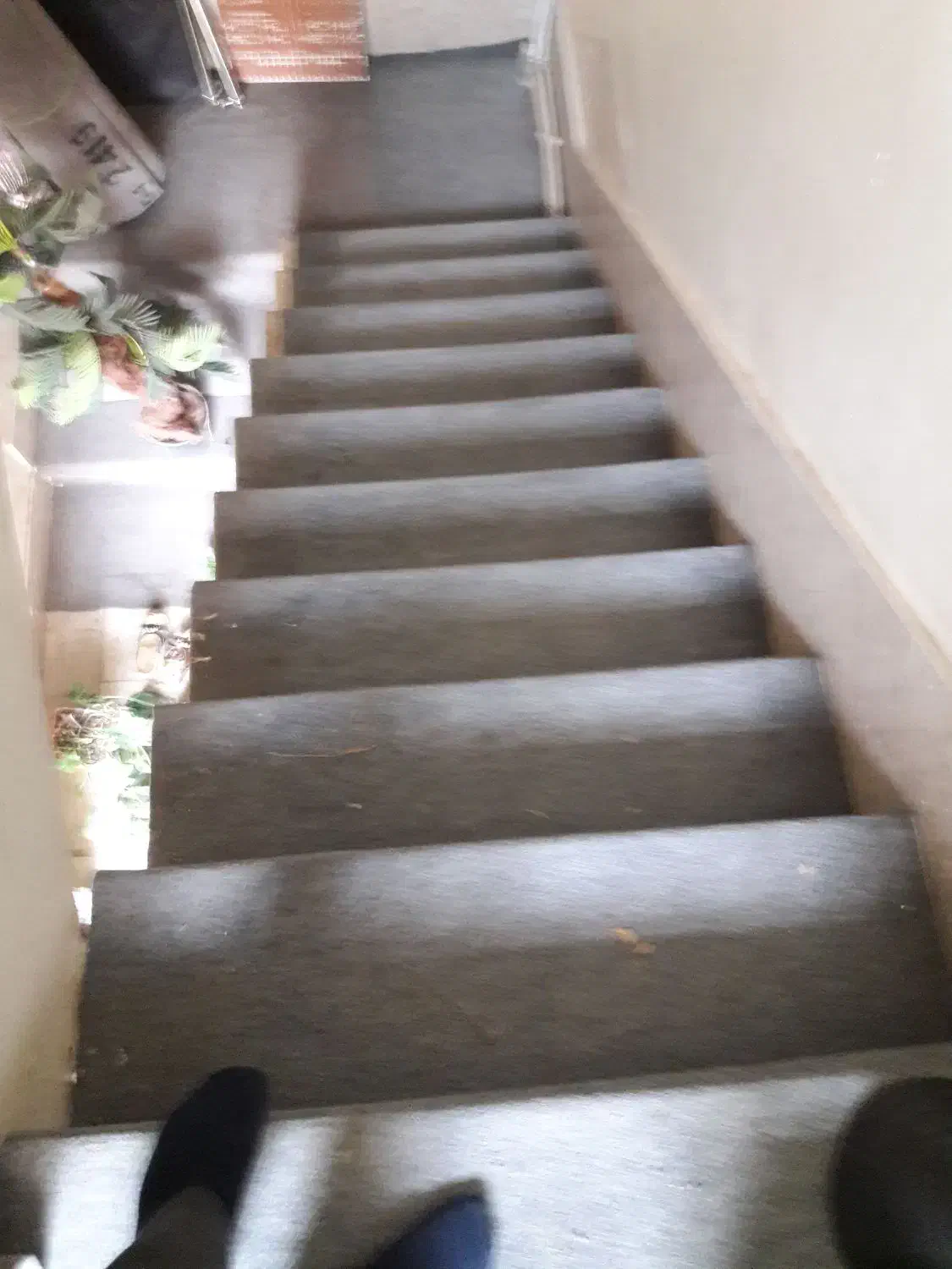 موکت را پله عرض یک در ۶متر سه رول|موکت|قدس, شهر‌قدس|دیوار