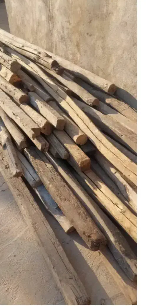 تعدادی چوب سپیداری و چوب بنایی|گل و گیاه طبیعی|دهدشت, |دیوار