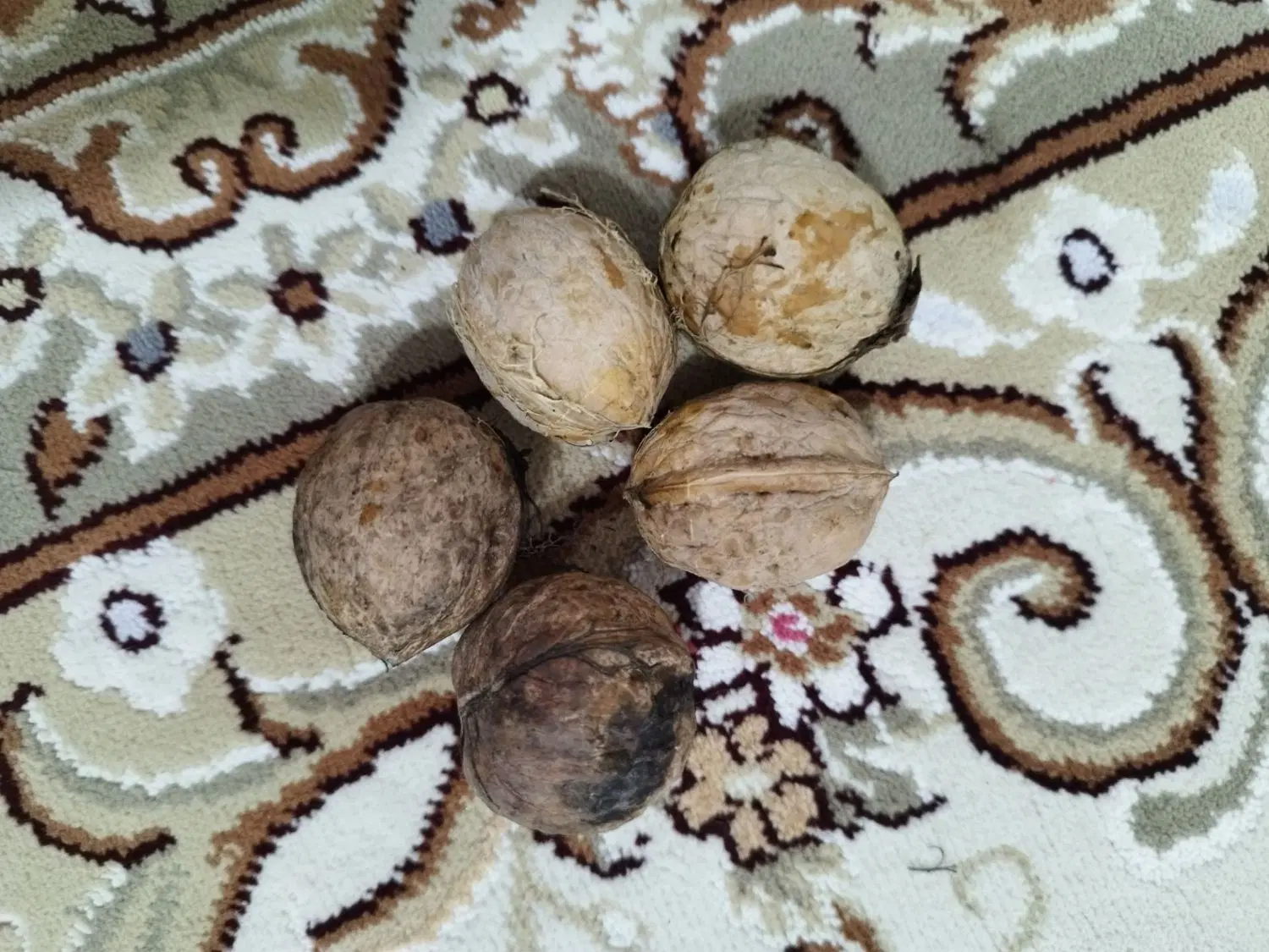 گردو|خوردنی و آشامیدنی|تاکستان, |دیوار