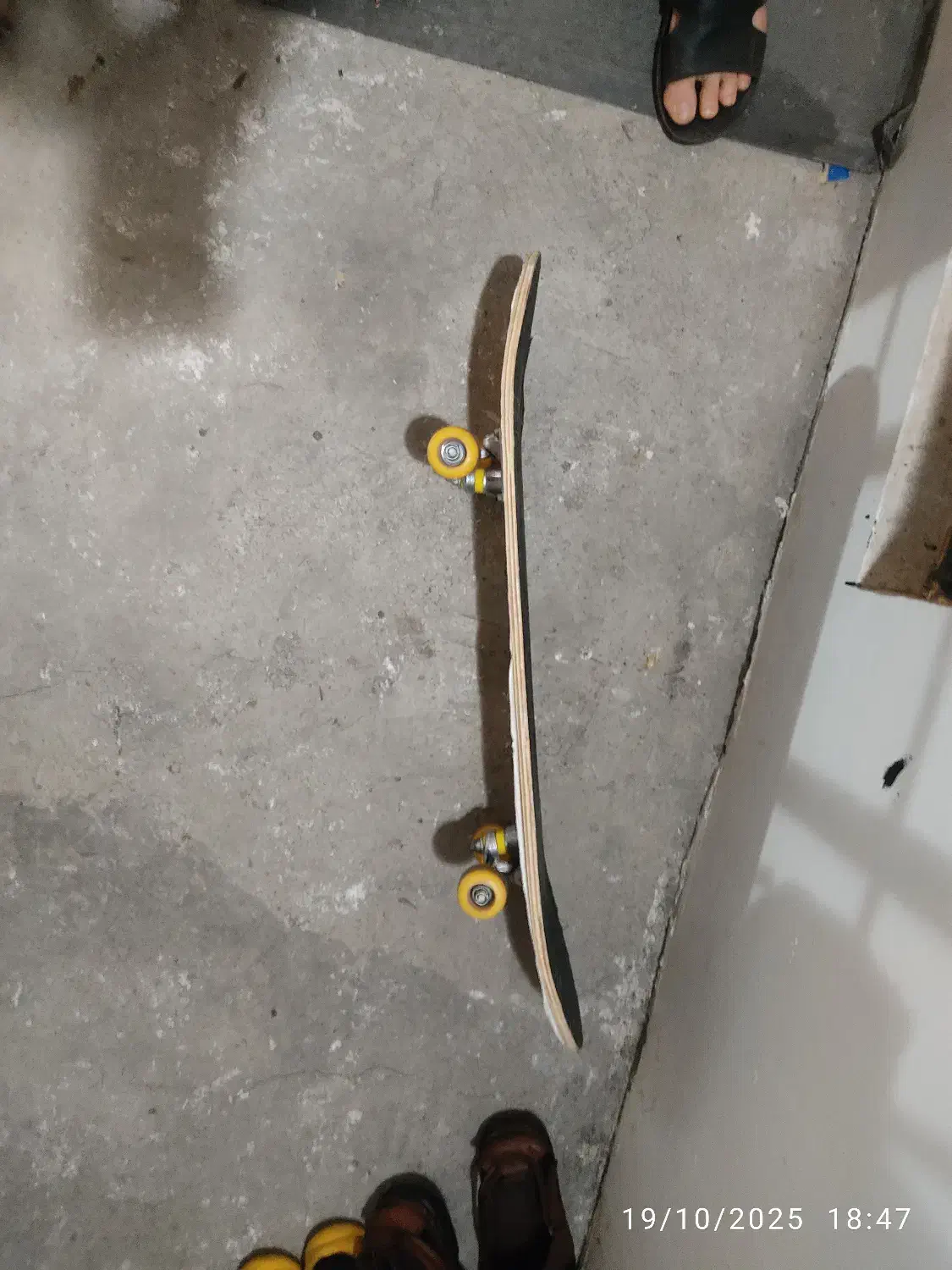 اسکیت برد|دوچرخه، اسکیت، اسکوتر|رشت, خمیران زاهدان|دیوار