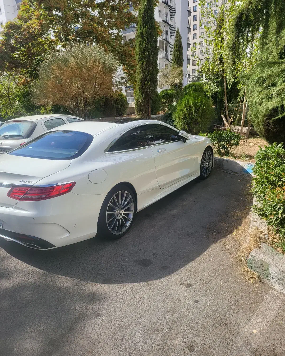 بنز s550 کوپه .گذر موقت|خودرو سواری و وانت|تهران, درختی|دیوار