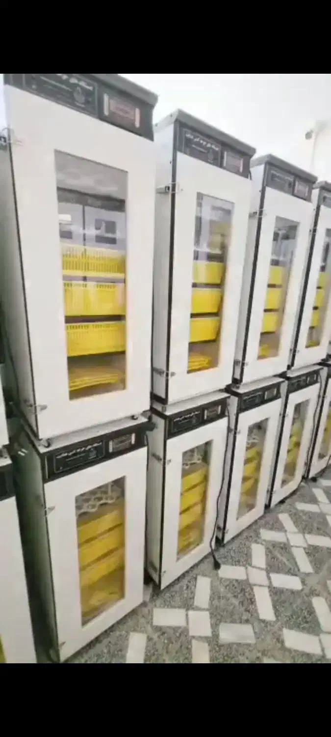 دستگاه جوجه کشی هدایت|لوازم جانبی حیوانات|رامشیر, |دیوار