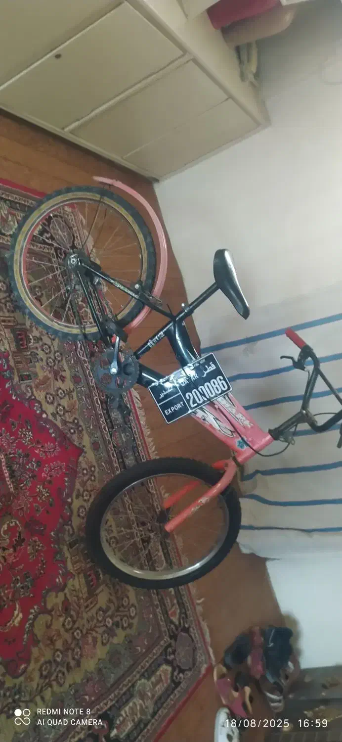 دوچرخه|دوچرخه، اسکیت، اسکوتر|فولادشهر, B5|دیوار