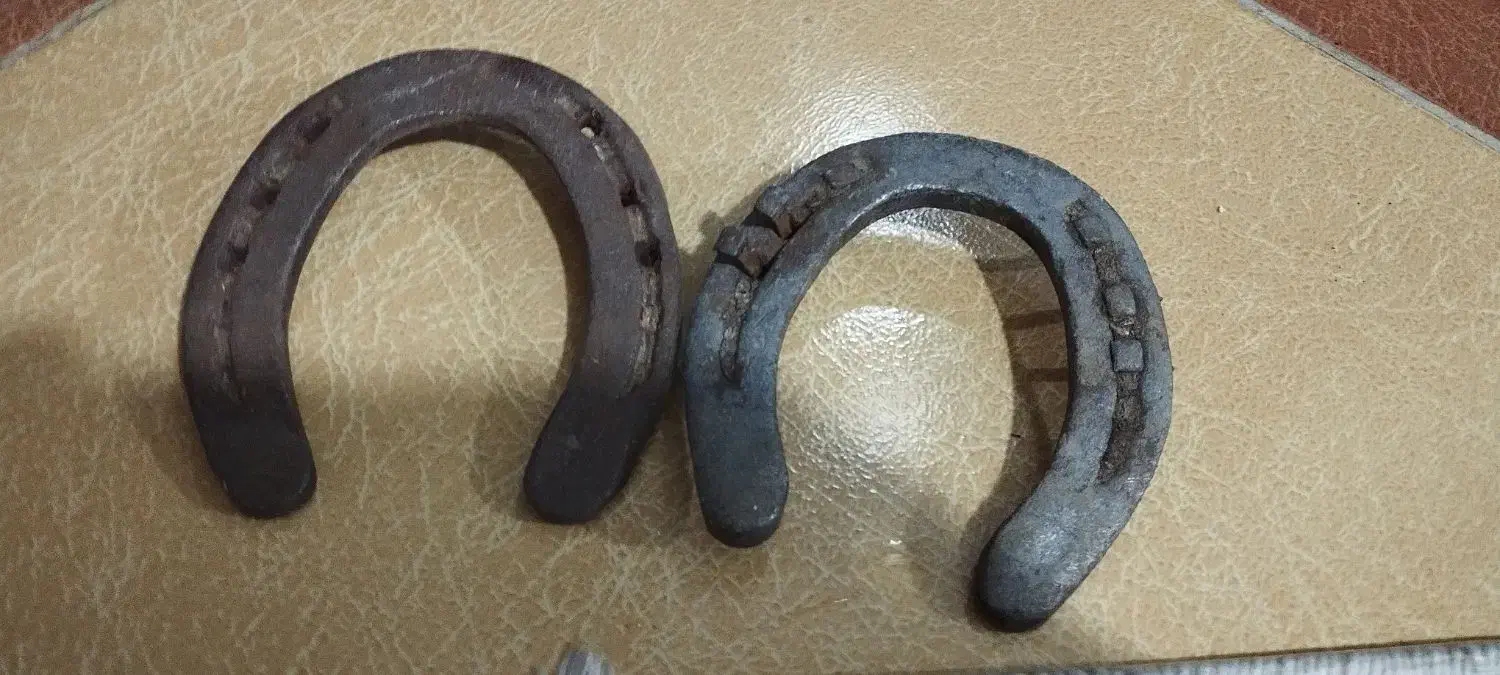 نعل اسب|اسب و تجهیزات اسب‌سواری|نهاوند, |دیوار