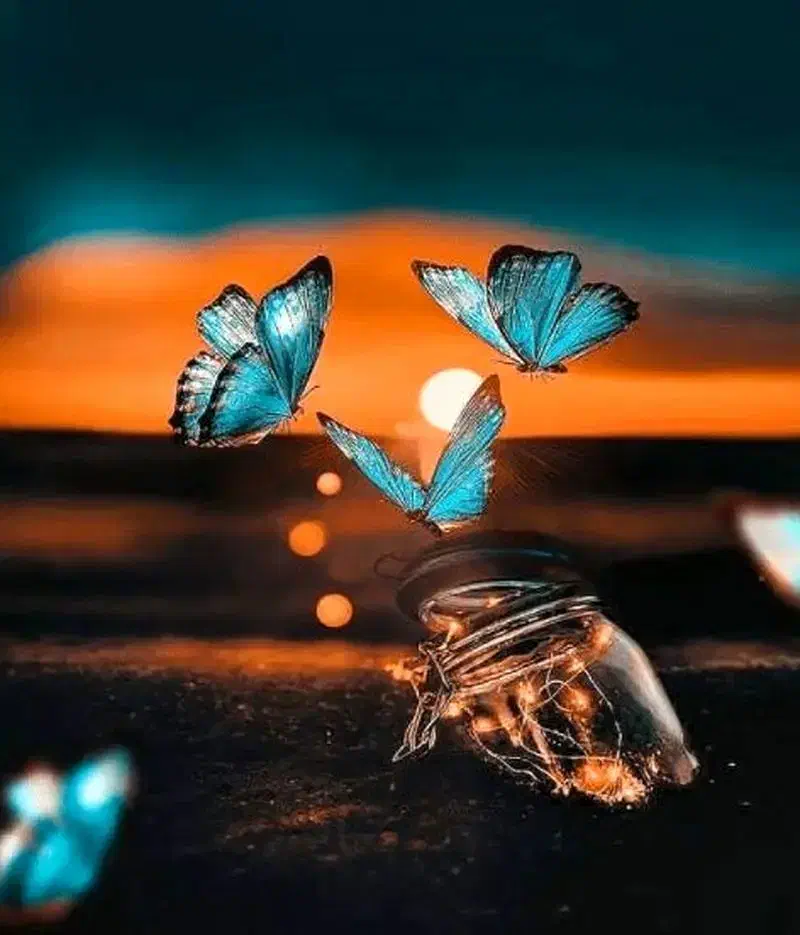 شعر و هموم...|کتاب و مجله ادبی|اهواز, امانیه|دیوار