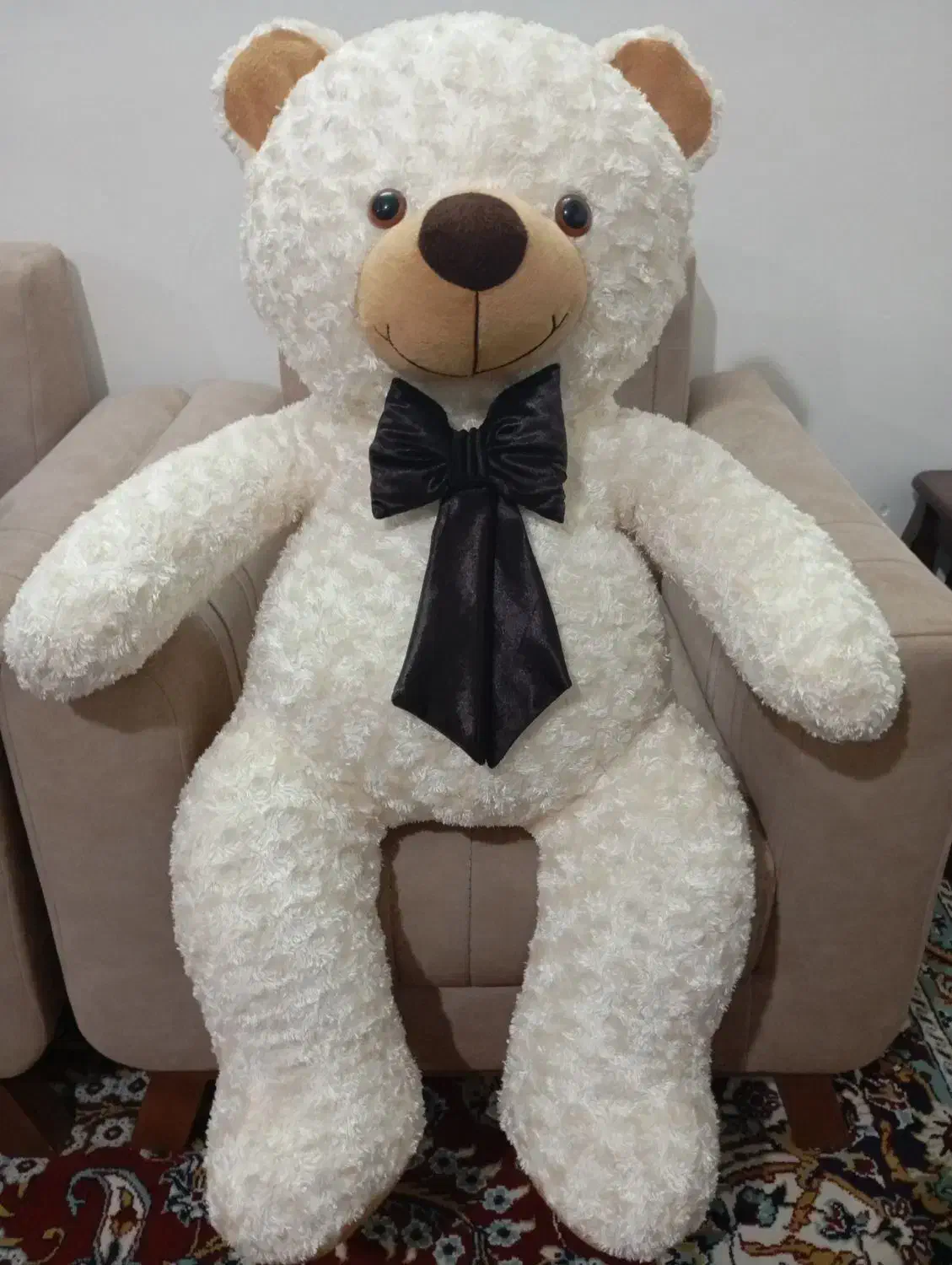 عروسک خرس|اسباب‌‌بازی|گناباد, |دیوار