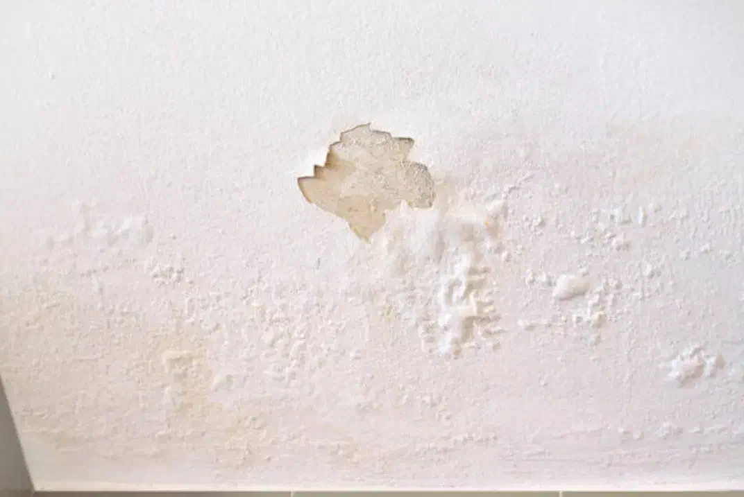 لکه گیری و سفید کاری|خدمات پیشه و مهارت|خرمآباد, |دیوار