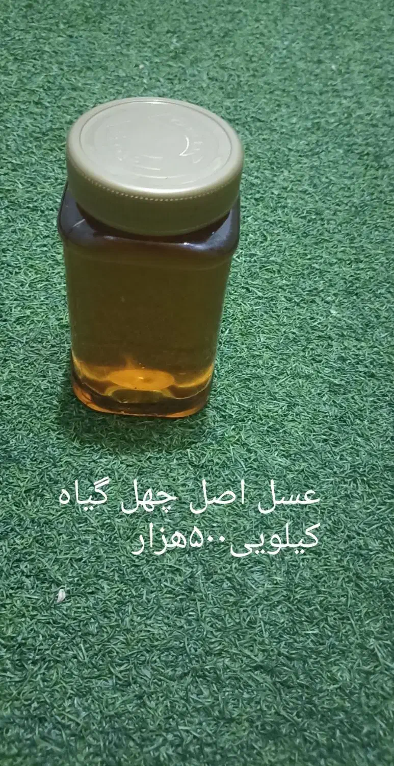 عسل|خوردنی و آشامیدنی|قم, دورشهر|دیوار