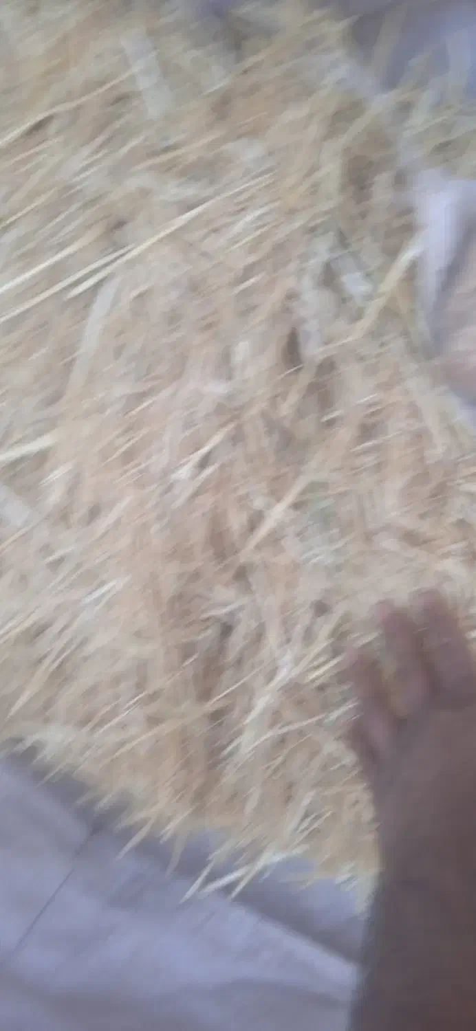 پرس گندم|لوازم جانبی حیوانات|هلالی, |دیوار