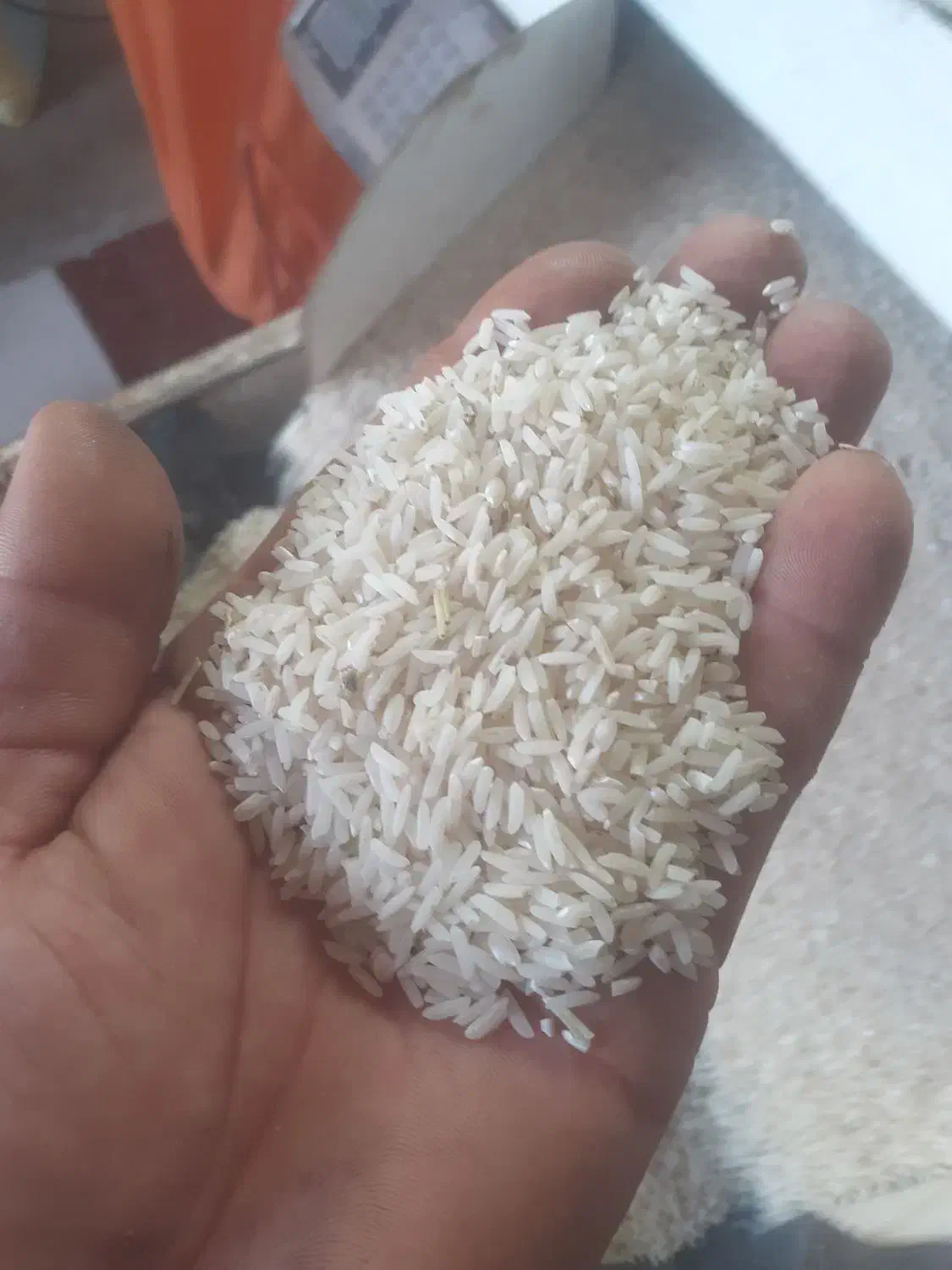 برنج هاشمی اصل دره رود اعلا|خوردنی و آشامیدنی|گرمی, |دیوار