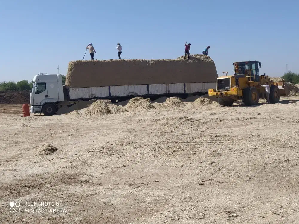 کاه نیشکر تازه شروع شد|حیوانات مزرعه|نجفآباد, قلعه سفید|دیوار