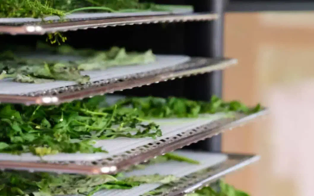 مزیت خرید دستگاه خشک کن میوه و سبزی پیلسا|ماشین‌آلات صنعتی|مشهد, کاظم آباد پنجشنبه|دیوار