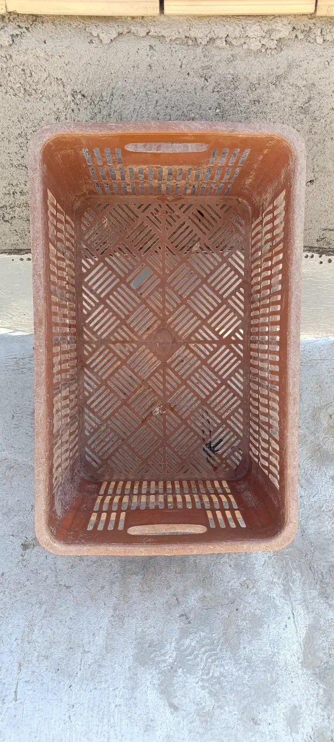 سبدهای 25کیلویی|ظروف نگهدارنده، پلاستیکی، یکبارمصرف|اسفرورین, |دیوار