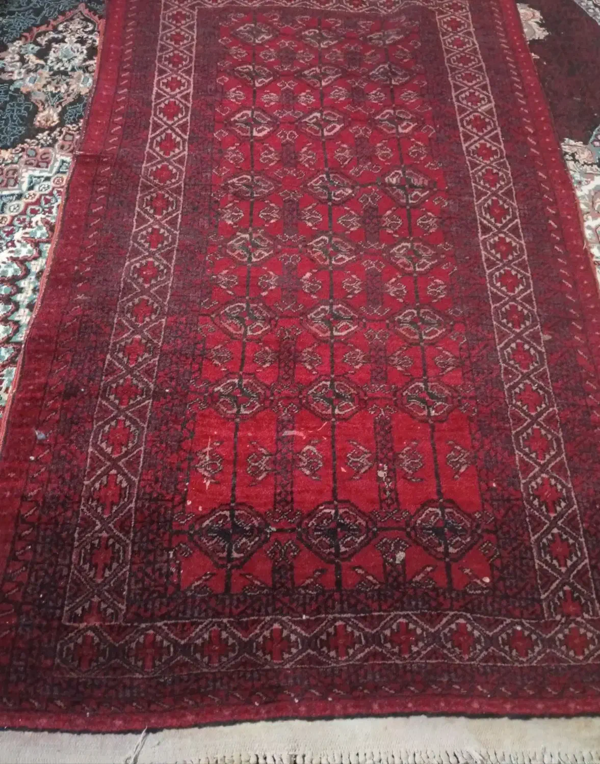 قالیچه دست باف|فرش|مشهد, هنرستان|دیوار