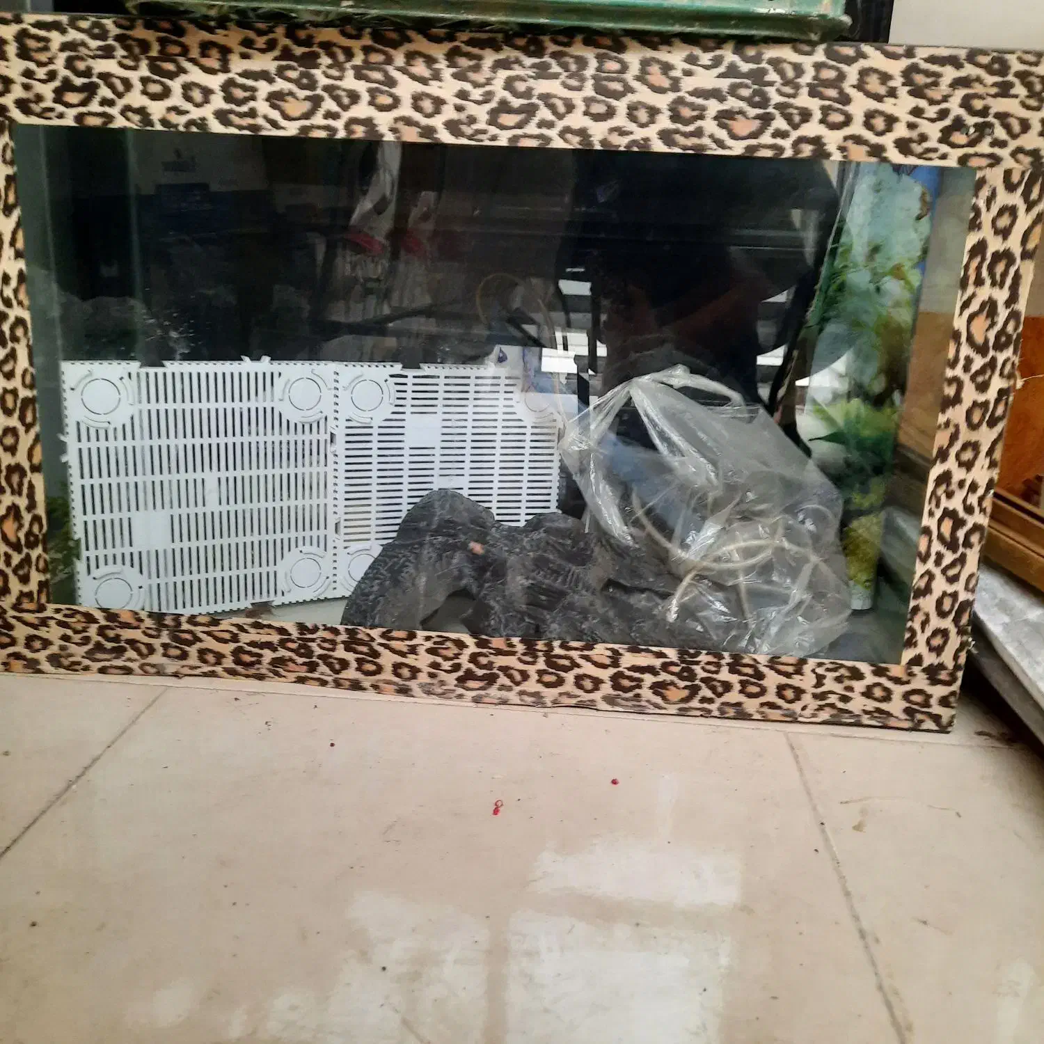 آکواریوم|ماهی|شهریار, شهرک شاهد|دیوار