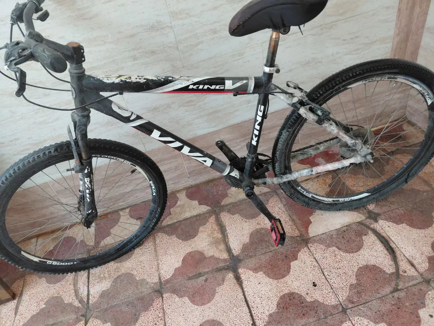 دوچرخه ویوا|دوچرخه، اسکیت، اسکوتر|برازجان, |دیوار