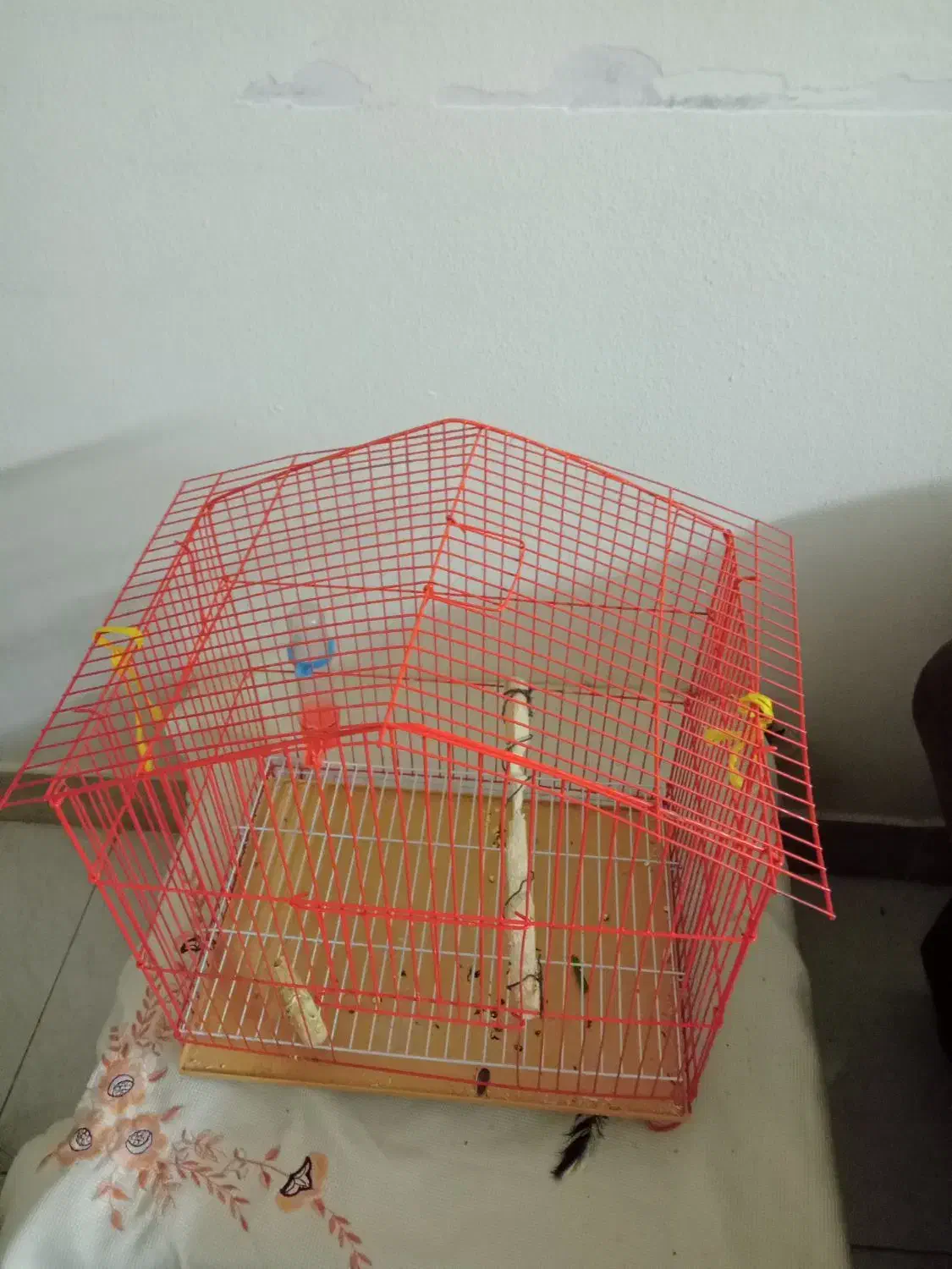 قفس پرنده|لوازم جانبی حیوانات|پردیس, فاز ۳|دیوار