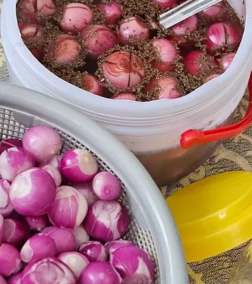 ترشی خانگی|خدمات پذیرایی، مراسم|اهواز, کیانپارس |دیوار