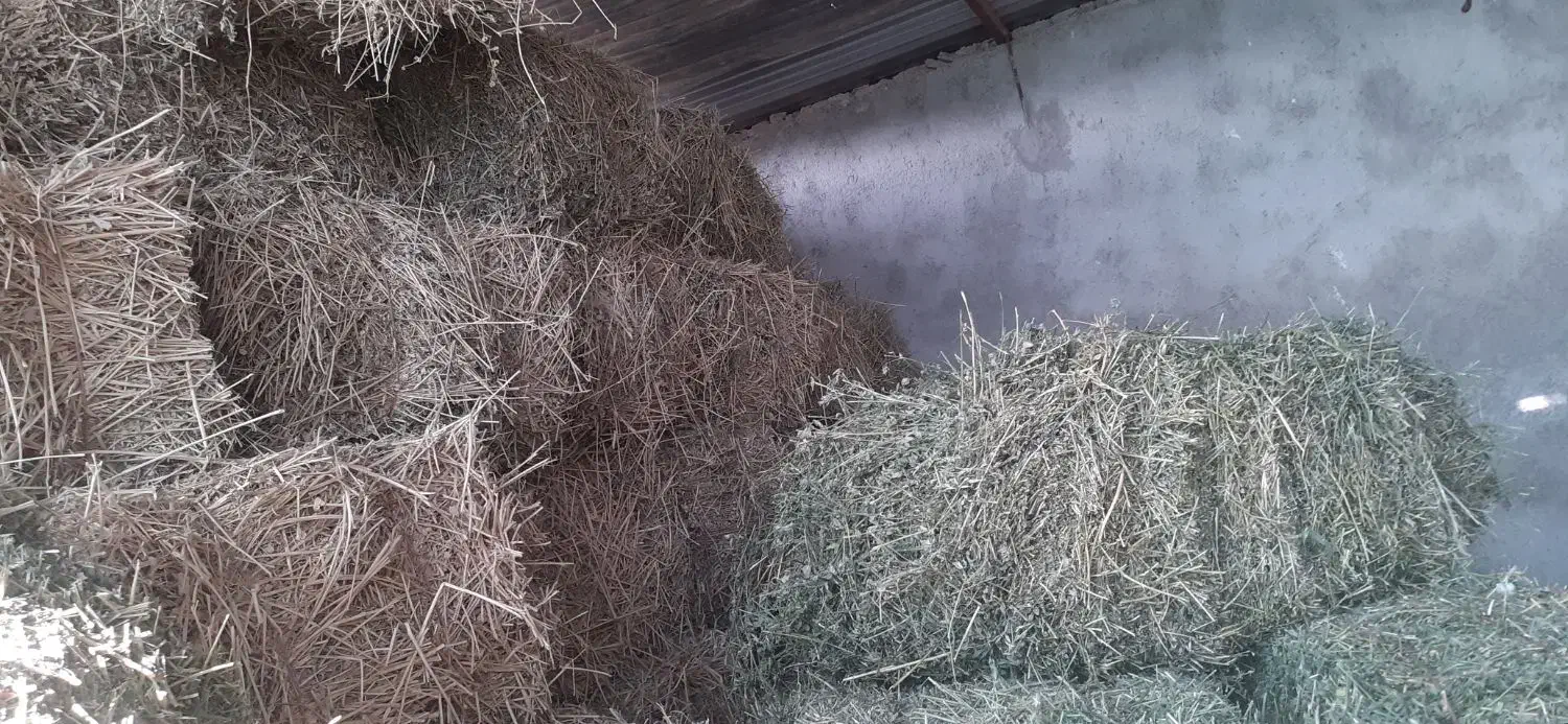 پرس یونجه خشک انباری پر برگ وباش|خدمات باغبانی و درختکاری|نیشابور, ماروسک|دیوار