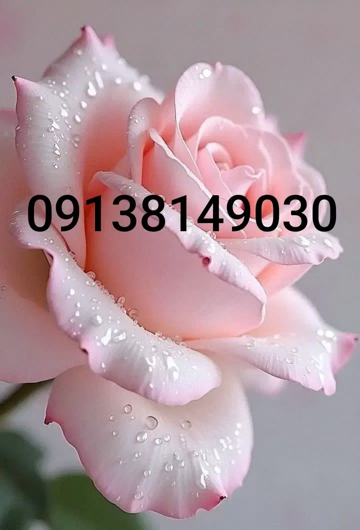 فروش یک عدد سیمکارت اعتباری همراه اول رند|سیم‌کارت|شاهین‌شهر, شهرک گلدیس|دیوار