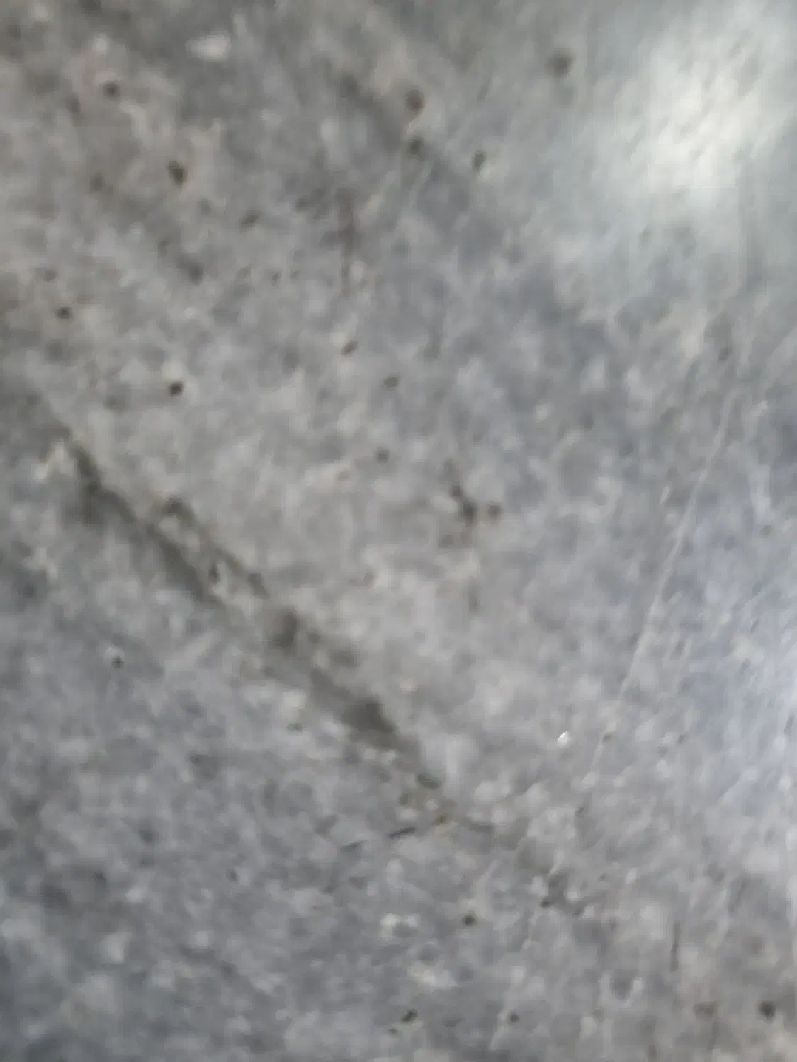 پذیرش سگ|سگ|اراک, |دیوار