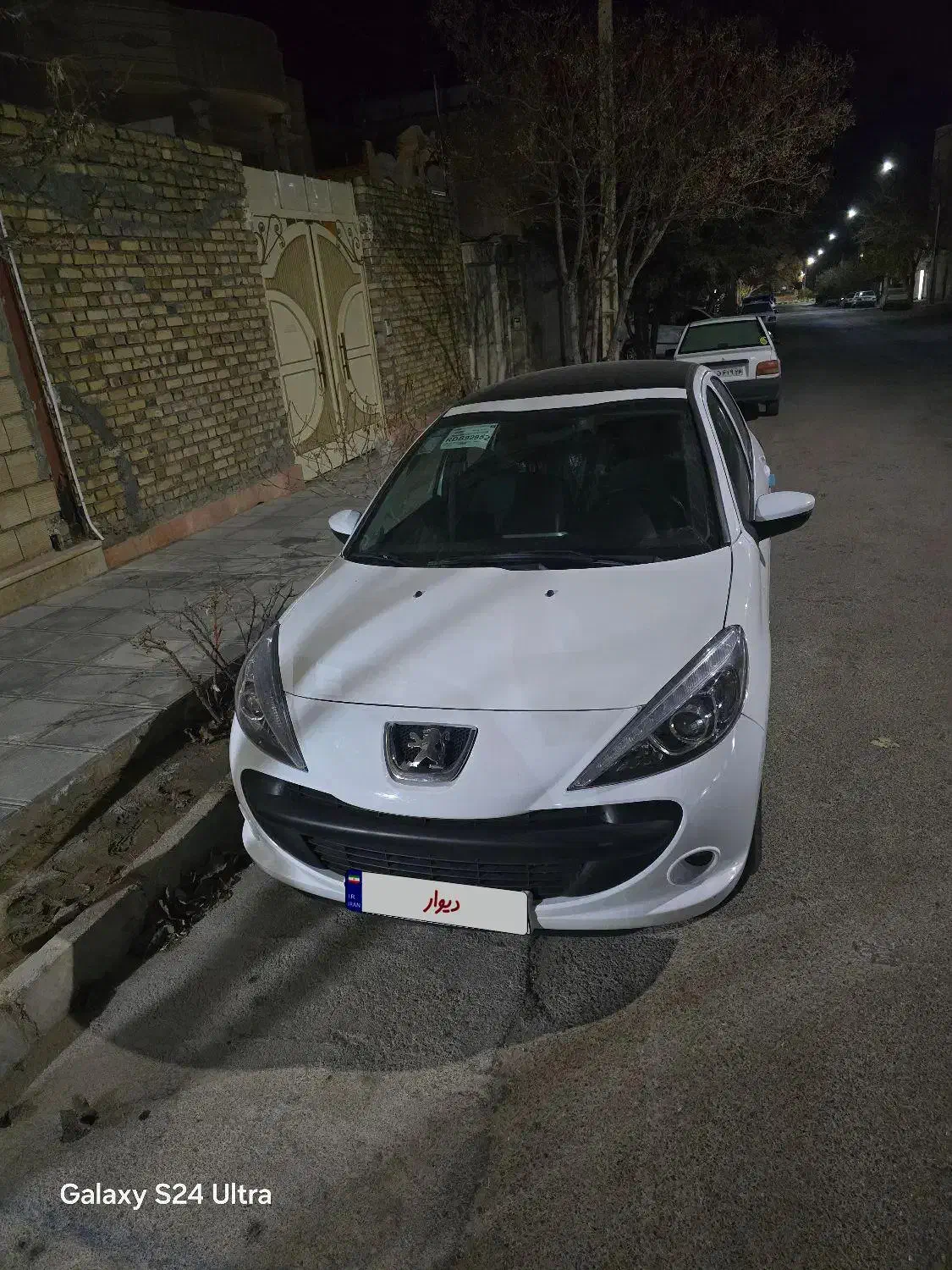 فروش ۲۰۷سقف شیشه ای|خودرو سواری و وانت|گرمه, |دیوار