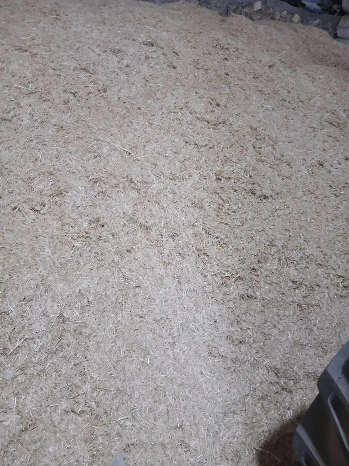 ازاد|لوازم جانبی حیوانات|کرانی, |دیوار