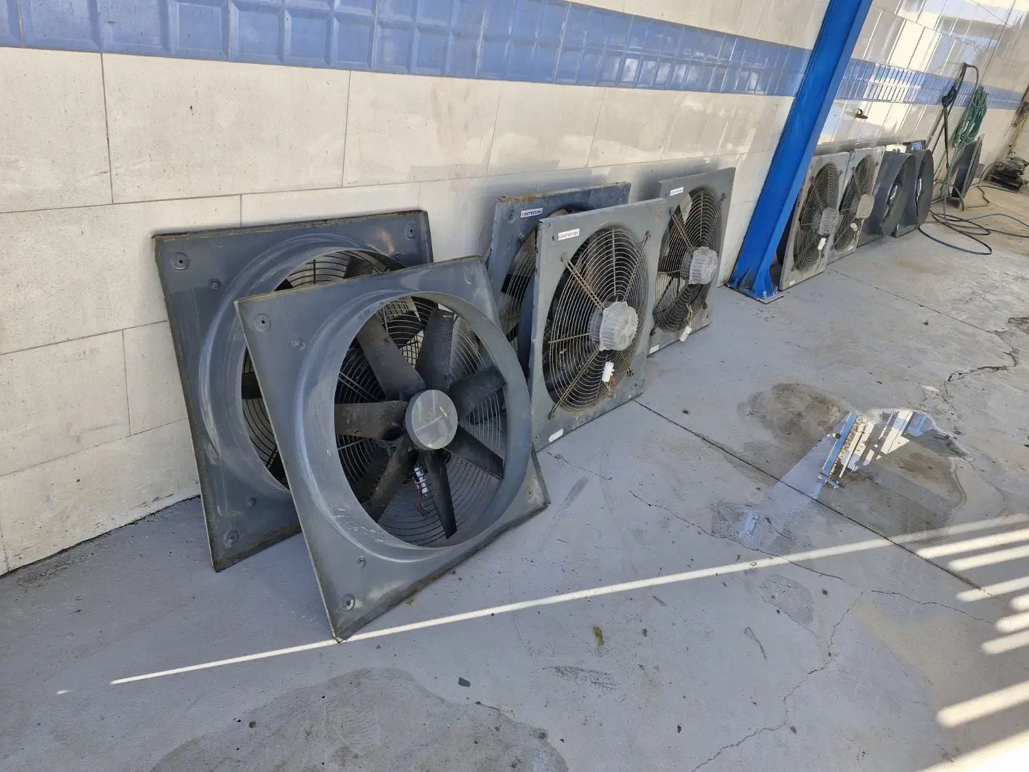 فروش ۱۰ عدد فن ۷۰ گلخانه به شرط سلامت|پنکه و تصفیهکنندهٔ هوا|یزد, |دیوار