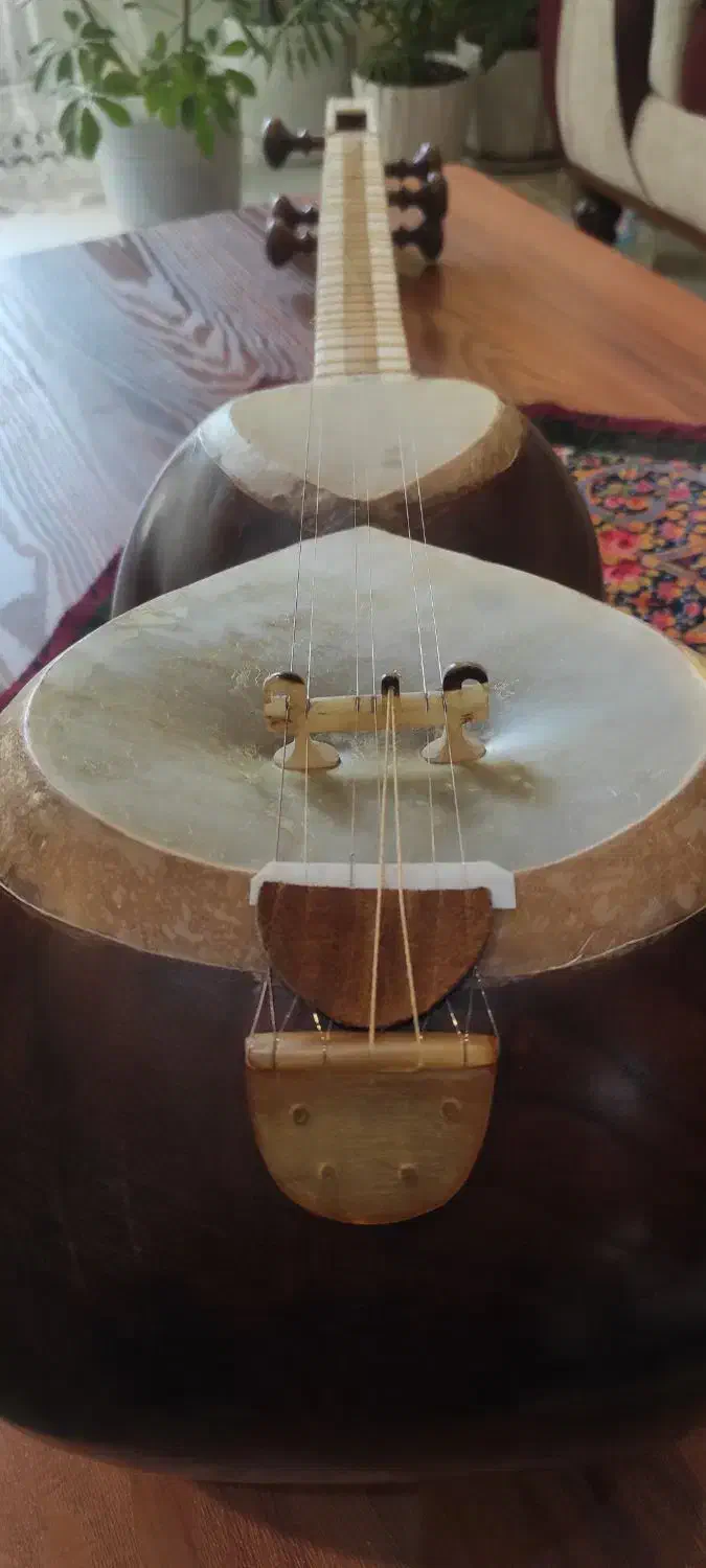 تار قدیمی خوش صدا|سازهای سنتی|گرگان, |دیوار