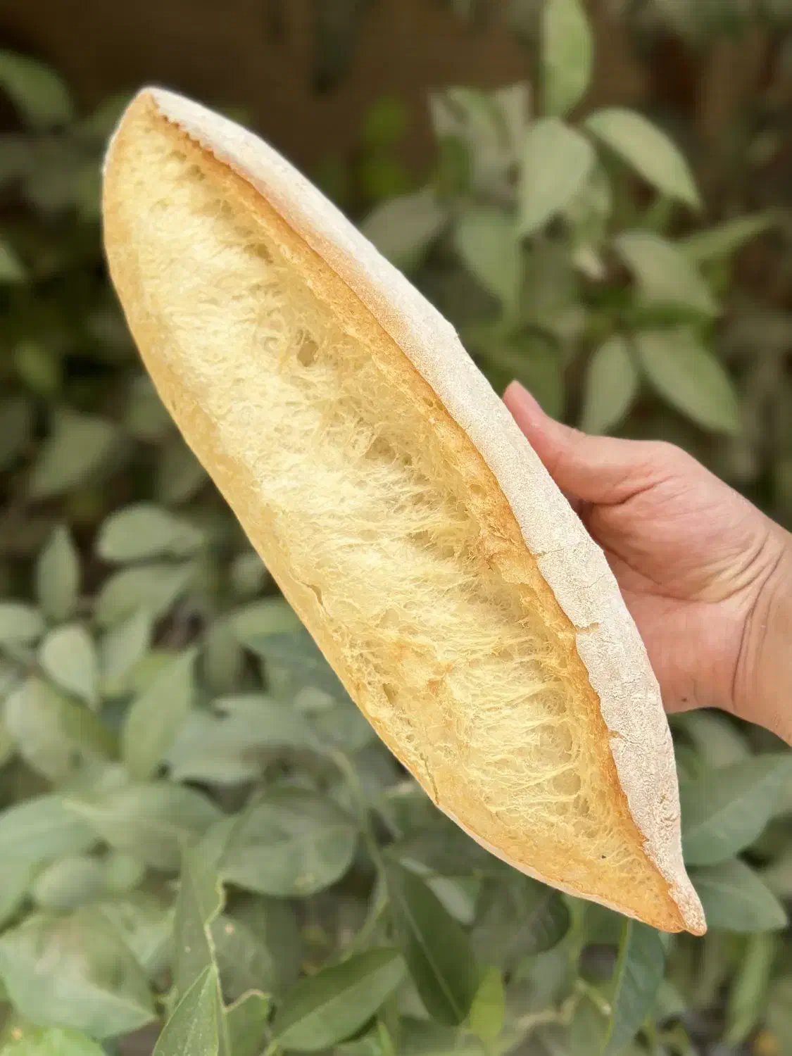 آموزش دوره نان حجیم و نیمه حجیم|خدمات آموزشی|کرمانشاه, |دیوار