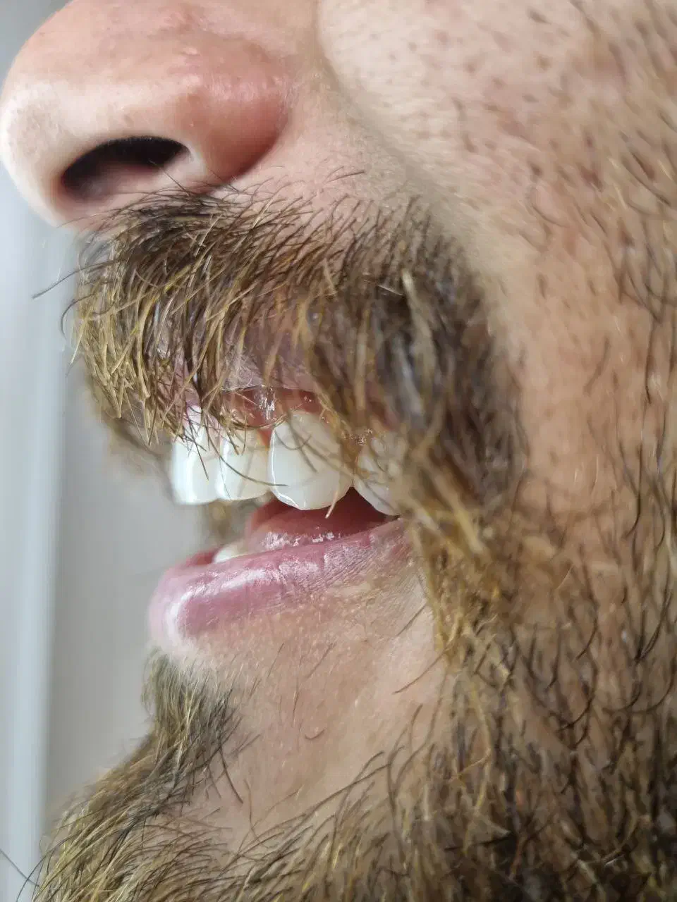 جشنواره اجتماعی عید مبعث شروع شد|گردهمایی و همایش|گرگان, |دیوار